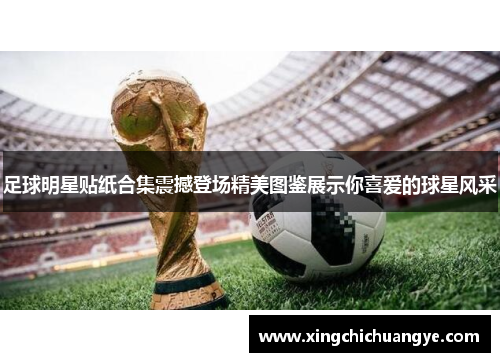 足球明星贴纸合集震撼登场精美图鉴展示你喜爱的球星风采