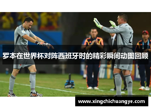 罗本在世界杯对阵西班牙时的精彩瞬间动图回顾